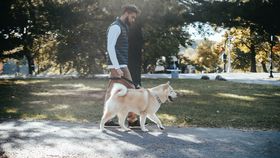Câinii nu pot fi plimbați pe oriunde și oricum. Părerile bucureștenilor sunt împărțite: „Ne deranjează”